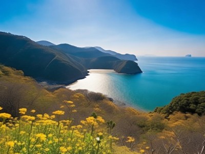 土瓜湾四季自然之美