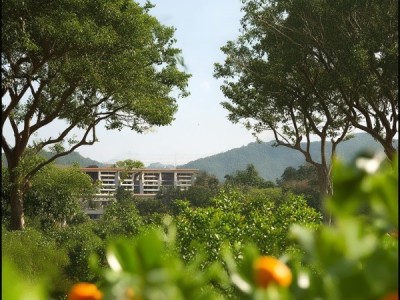 感受自然与人文交融，品味敦化桔子酒店的自然之美