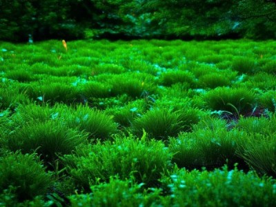 庐江安德利酒店，品质生活与自然之美