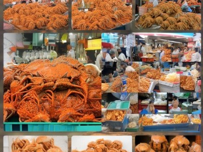 厦门可以抓螃蟹的地方包括:，沙门氏蟹场，这里是厦门的著名螃蟹摊位，提供多种类型的螃蟹，价格亲民。，冯家 Stream，这里是厦门的海鲜摊位之一，也有螃蟹摊位，适合喜欢海边的游客。，海鲜市场，厦门的海鲜市场也是螃蟹的主要来源，推荐去那里购买。，沙门氏蟹场，作为著名的螃蟹市场，这里提供了多种类型的螃蟹，适合喜欢螃蟹的游客。，此外，建议在海鲜市场和螃蟹摊位上购买螃蟹，或者亲自去相关的景点参观，看看螃蟹的展示情况。