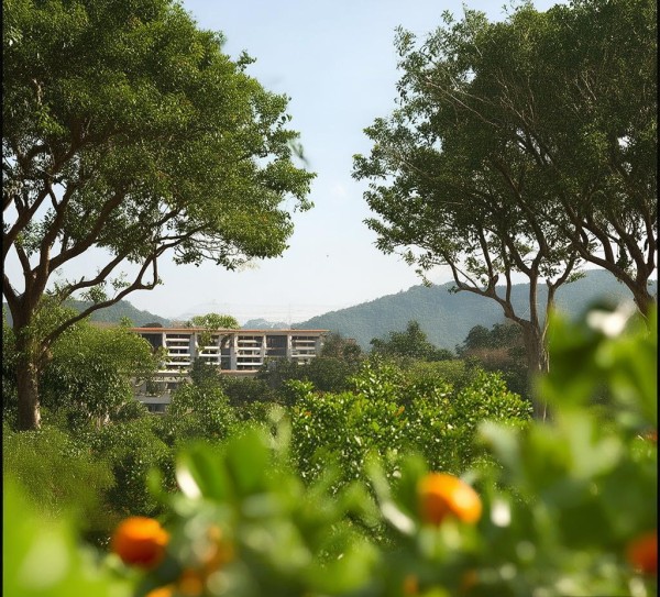 感受自然与人文交融，品味敦化桔子酒店的自然之美