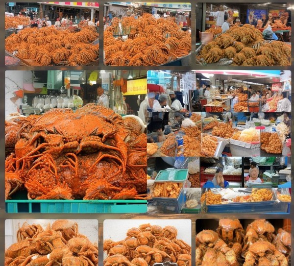 厦门可以抓螃蟹的地方包括:，沙门氏蟹场，这里是厦门的著名螃蟹摊位，提供多种类型的螃蟹，价格亲民。，冯家 Stream，这里是厦门的海鲜摊位之一，也有螃蟹摊位，适合喜欢海边的游客。，海鲜市场，厦门的海鲜市场也是螃蟹的主要来源，推荐去那里购买。，沙门氏蟹场，作为著名的螃蟹市场，这里提供了多种类型的螃蟹，适合喜欢螃蟹的游客。，此外，建议在海鲜市场和螃蟹摊位上购买螃蟹，或者亲自去相关的景点参观，看看螃蟹的展示情况。