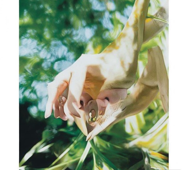 海沧，诗意栖息地，远离喧嚣，寻找艺术与生活的平衡